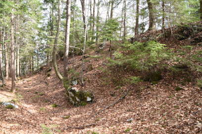 Kozjak - Grad Irštajn