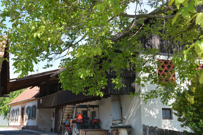 Sveti Lovrenc - Hiša z gospodarskim poslopjem Sv. Lovrenc 15