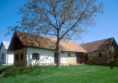 Andrenci - Domačija Vračič