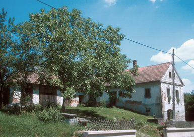 Grabe pri Ormožu - Domačija Grabe 17