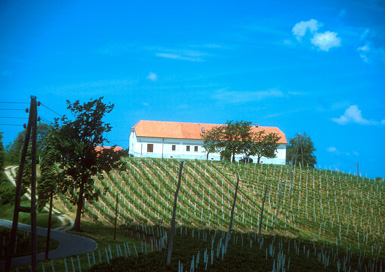 Litmerk - Zidanica Litmerk 46