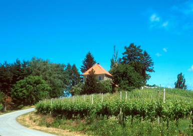 Veliki Brebrovnik - Zidanica Veliki Brebrovnik 109