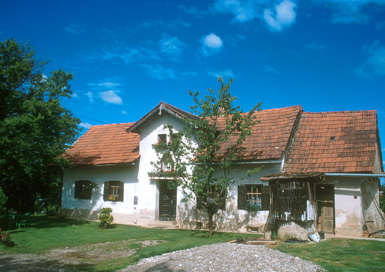 Žvab - Hiša Žvab 15