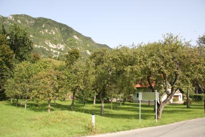 Smokuč - Rimskodobno grobišče na zahodni strani vasi