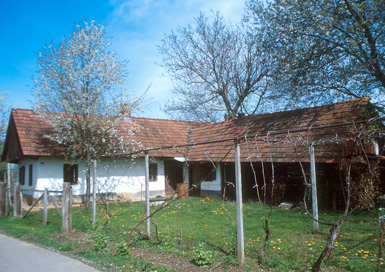 Iljaševci - Domačija Iljaševci 21