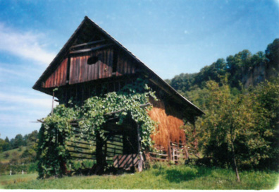 Vodiško - Kozolec na domačiji Vodiško 6
