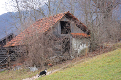 Gozd - Sušilnica za sadje na domačiji Gozd 11