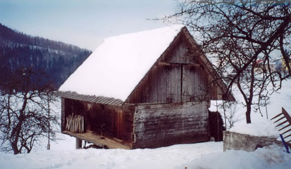 Gozd - Kašča na domačiji Gozd 11