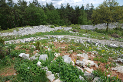 Šembije - Gradišče
