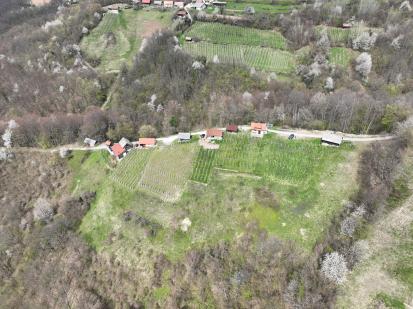 Vinjar - Vinske gorice