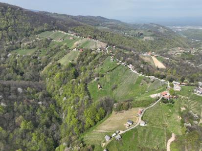 Brezovica v Podbočju - Vinske gorice