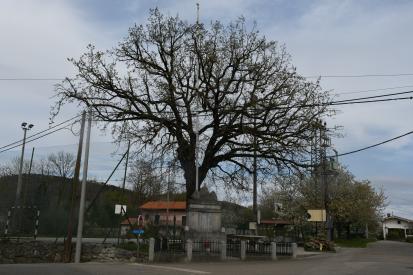 Temnica - Spomenik NOB