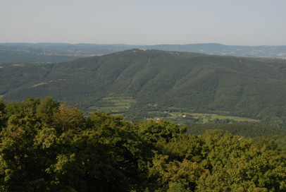 Tinjan - Vas