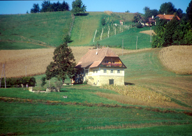 Jareninski Dol - Hiša Jareninski Dol 42