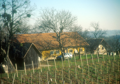 Drankovec - Hiša Drankovec 8