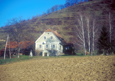 Vukovski Dol - Hiša Vukovski Dol 38