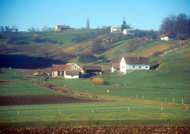 Vukovje - Domačija Kravtič