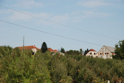 Mlače - Park dvorca Pogled