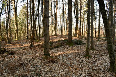 Vrh pri Šentjerneju - Arheološko najdišče Brezje