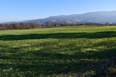 Šentjernej - Rimskodobno grobišče Grbe