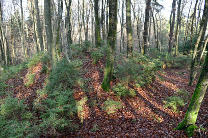 Benečija - Gomilno grobišče Zabukovje