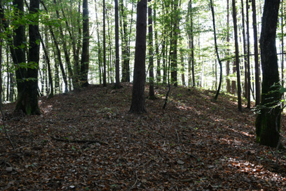 Škrljevo - Gomilno grobišče Rovnice