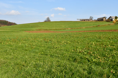Gorenja Nemška vas - Rimskodobno grobišče Lanišča