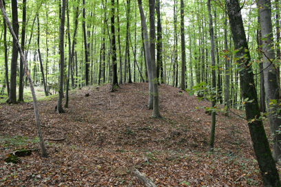 Sveti Vrh - Gomilno grobišče Brezovica