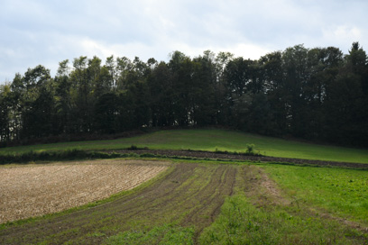 Hrastovica - Gomilno grobišče Grič