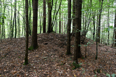 Podturn pri Trebelnem - Gomila Zadnja hosta