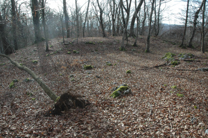 Sela pri Šumberku - Prazgodovinska naselbina Stari grad