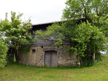 Zgornje Tinsko - Vinska klet na domačiji Zgornje Tinsko 45