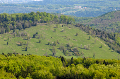 Črmošnjice - Gradišče Topli vrh