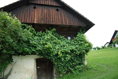 Andraž nad Polzelo - Vinska klet pri hiši Andraž nad Polzelo 32a
