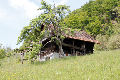 Podkraj pri Velenju - Županova klet