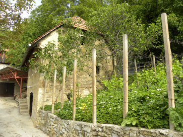Podvrh pri Vranju - Zidanica Podvrh 52