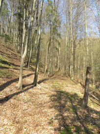 Vernek - Grad Vernek