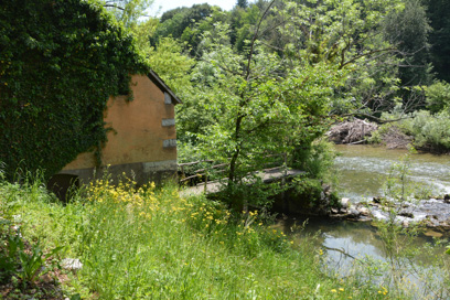 Zilje - Cvetašev mlin