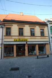 Celje - Hiša Stanetova 9