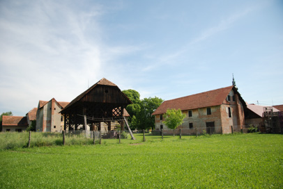 Petrovče - Domačija Petrovče 100