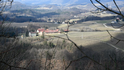 Brestanica - Kulturna krajina