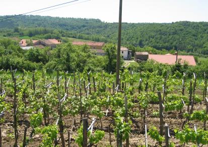 Koromači-Boškini - Zaselek