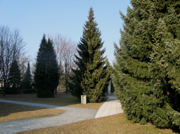 Kranj - Opuščeno pokopališče v Stražišču