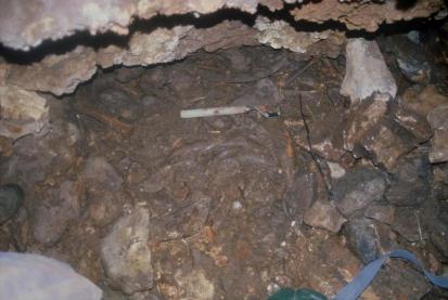 Sela na Krasu - Arheološko najdišče Orehovec