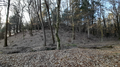 Veniše - Srednjeveška utrdba Škratov grič