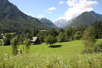Dovje - Rovt na Rupah