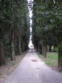 Ankaran - Arboretum Debeli rtič