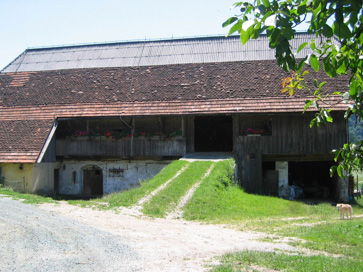 Gradišče na Kozjaku - Domačija Holant