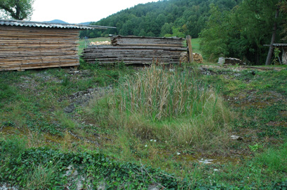 Gorica pri Sinjem Vrhu - Kal