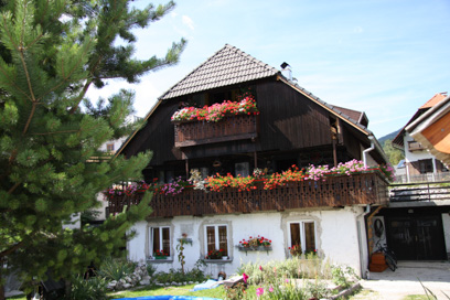 Kranjska Gora - Kajža Borovška 46